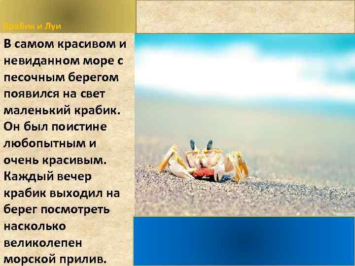 Крабик и Луи В самом красивом и невиданном море с песочным берегом появился на