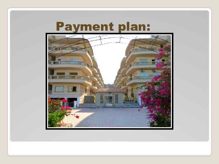 Payment plan: 