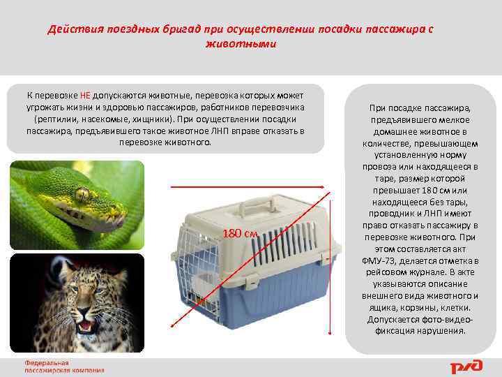 Действия поездных бригад при осуществлении посадки пассажира с животными К перевозке НЕ допускаются животные,