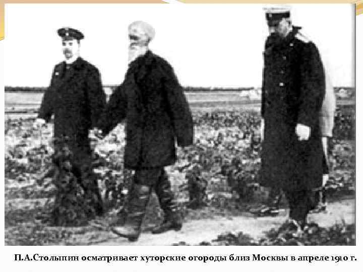 П. А. Столыпин осматривает хуторские огороды близ Москвы в апреле 1910 г. 