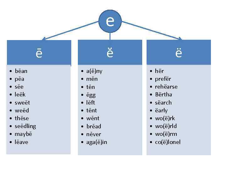 e ĕ ē • • • bēan pēa sēe leēk sweēt weēd thēse seēdling