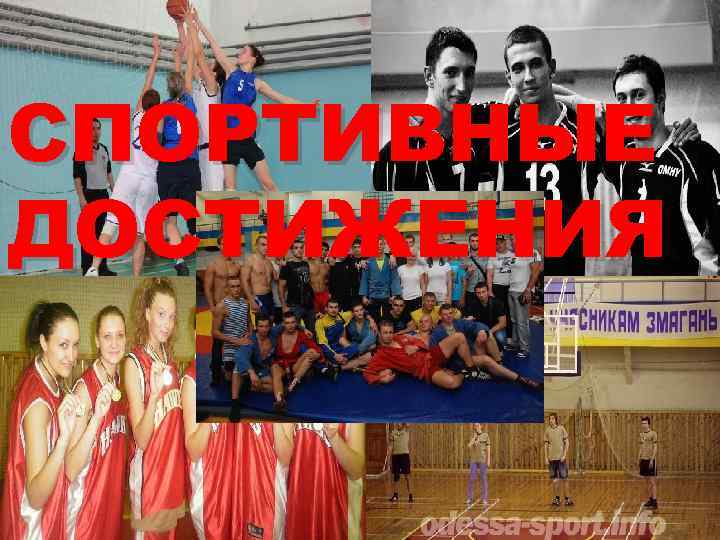 СПОРТИВНЫЕ ДОСТИЖЕНИЯ 