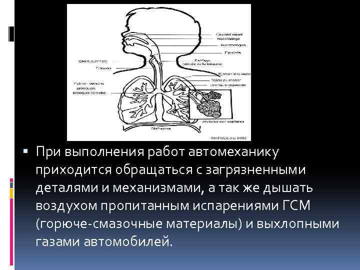  При выполнения работ автомеханику приходится обращаться с загрязненными деталями и механизмами, а так