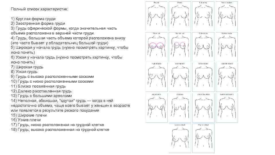 Полный список характеристик: 1) Круглая форма груди 2) Заостренная форма груди 3) Грудь сферической