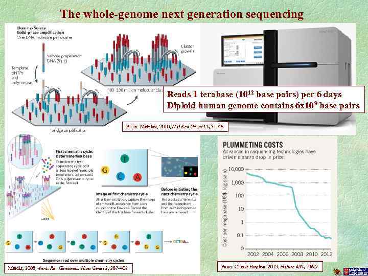 The whole-genome next generation sequencing Reads 1 terabase (1012 base pairs) per 6 days