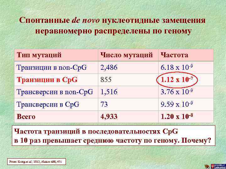 Спонтанные de novo нуклеотидные замещения неравномерно распределены по геному Тип мутаций Число мутаций Частота