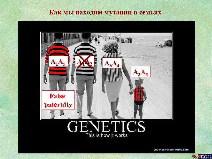 Как мы находим мутации в семьях A 1 A 5 False paternity A 1