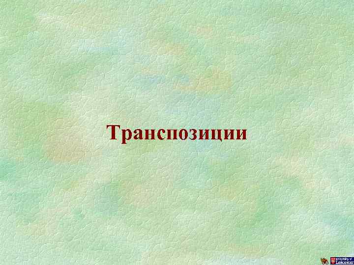 Транспозиции 