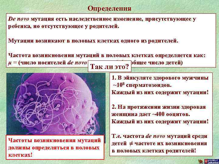 Клетки помощи. Мутации происходящие в половых клетках. Мутации в половых клетках человека. Мутация клеток. Мутация клеток человека.