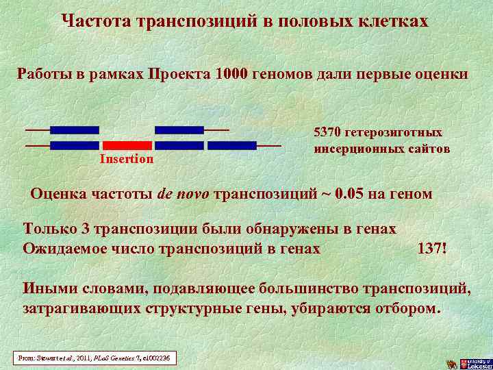 Частота транспозиций в половых клетках Работы в рамках Проекта 1000 геномов дали первые оценки