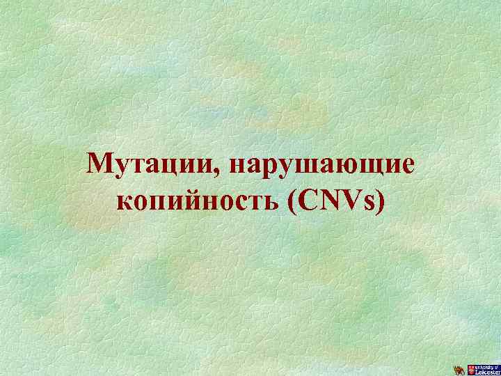 Мутации, нарушающие копийность (CNVs) 