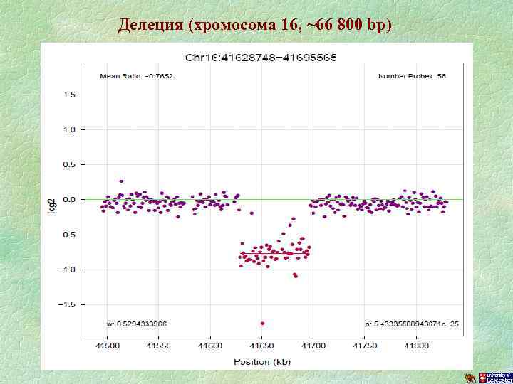 Делеция (хромосома 16, ~66 800 bp) 