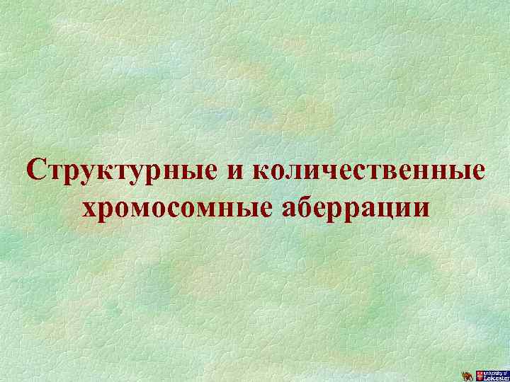 Структурные и количественные хромосомные аберрации 