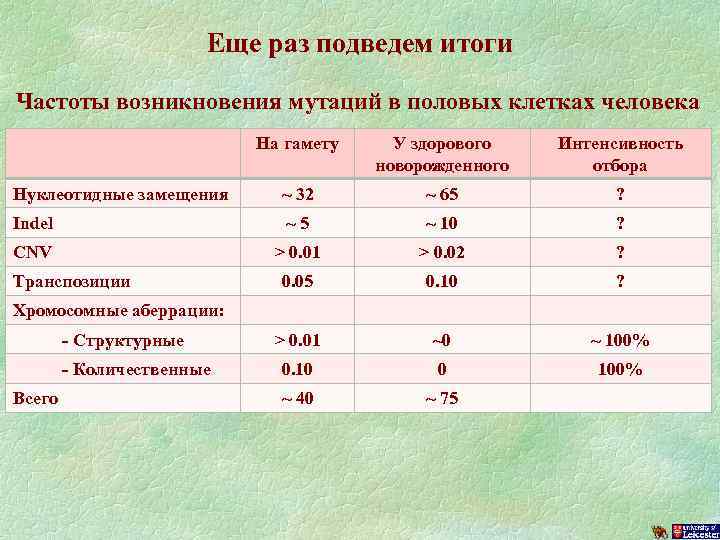 Еще раз подведем итоги Частоты возникновения мутаций в половых клетках человека На гамету У