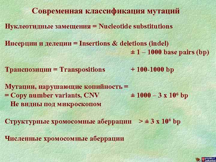 Современная классификация мутаций Нуклеотидные замещения = Nucleotide substitutions Инсерции и делеции = Insertions &