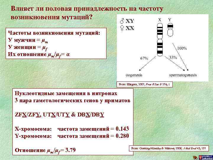 Влияет ли половая принадлежность на частоту возникновения мутаций? Частоты возникновения мутаций: У мужчин =