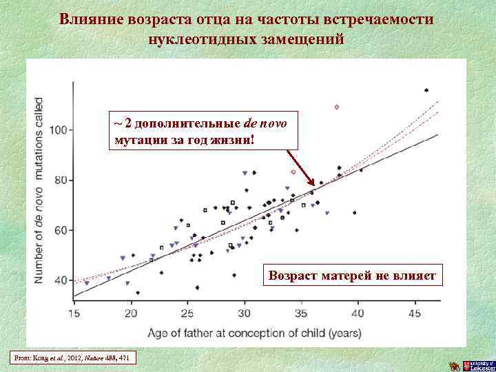 Влияние возраста отца на частоты встречаемости нуклеотидных замещений ~ 2 дополнительные de novo мутации