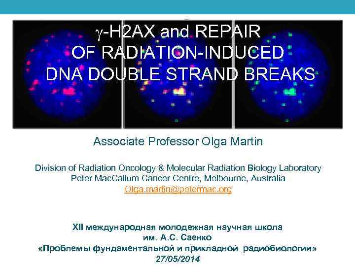  -H 2 AX and REPAIR OF RADIATION-INDUCED DNA DOUBLE STRAND BREAKS Associate Professor