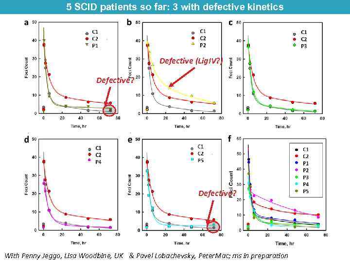 5 SCID patients so far: 3 with defective kinetics Defective (Lig. IV? ) Defective?