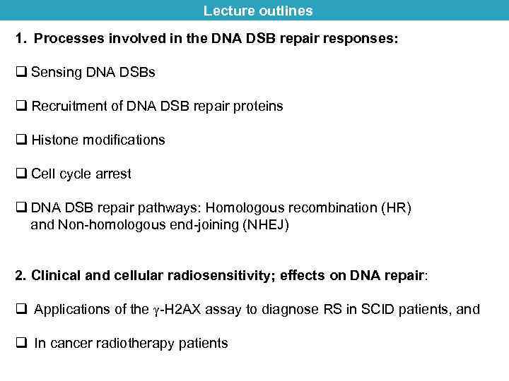 Lecture outlines 1. Processes involved in the DNA DSB repair responses: q Sensing DNA