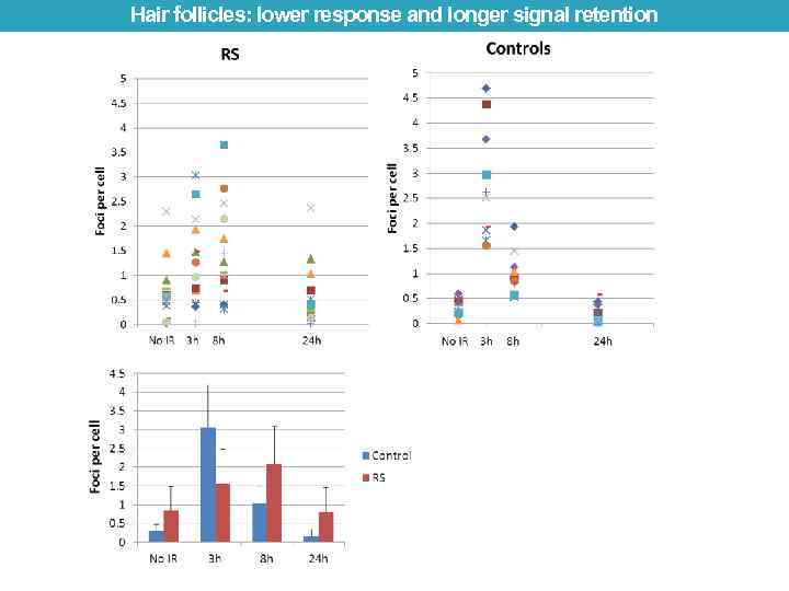 Hair follicles: lower response and longer signal retention 