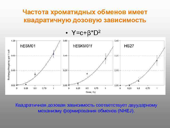 Частота хроматидных обменов имеет квадратичную дозовую зависимость • Y=c+β*D 2 Квадратичная дозовая зависимость соответствует