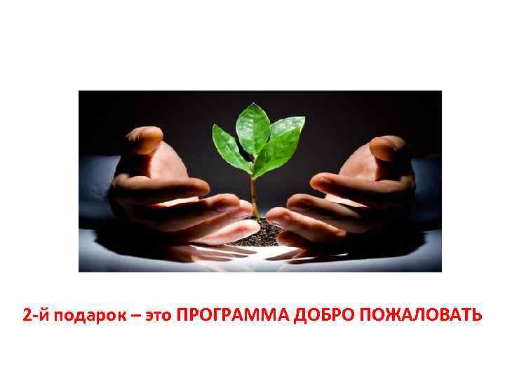 2 -й подарок – это ПРОГРАММА ДОБРО ПОЖАЛОВАТЬ 