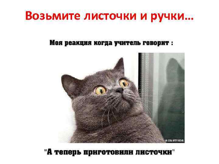 Возьмите листочки и ручки… 
