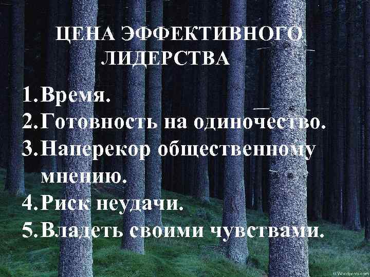 ЦЕНА ЭФФЕКТИВНОГО ЛИДЕРСТВА 1. Время. 2. Готовность на одиночество. 3. Наперекор общественному мнению. 4.