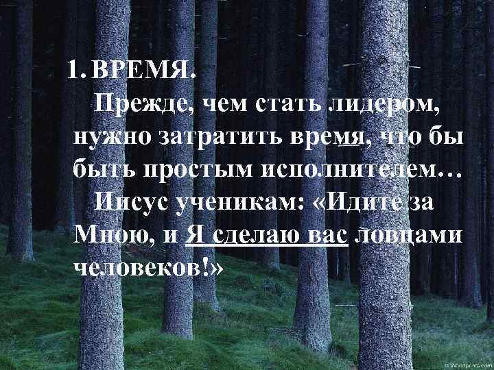 1. ВРЕМЯ. Прежде, чем стать лидером, нужно затратить время, что бы быть простым исполнителем…