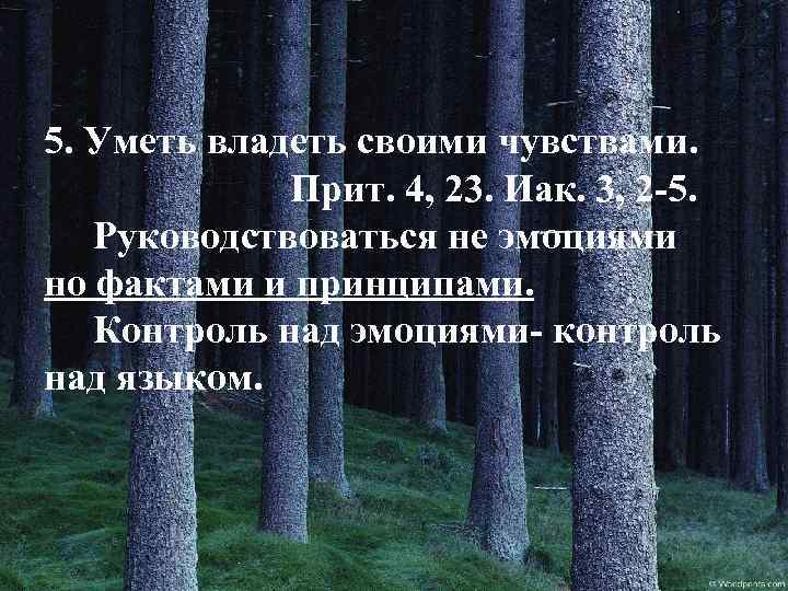 5. Уметь владеть своими чувствами. Прит. 4, 23. Иак. 3, 2 -5. Руководствоваться не