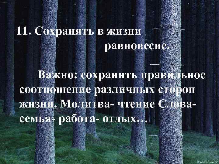 11. Сохранять в жизни равновесие. Важно: сохранить правильное соотношение различных сторон жизни. Молитва- чтение