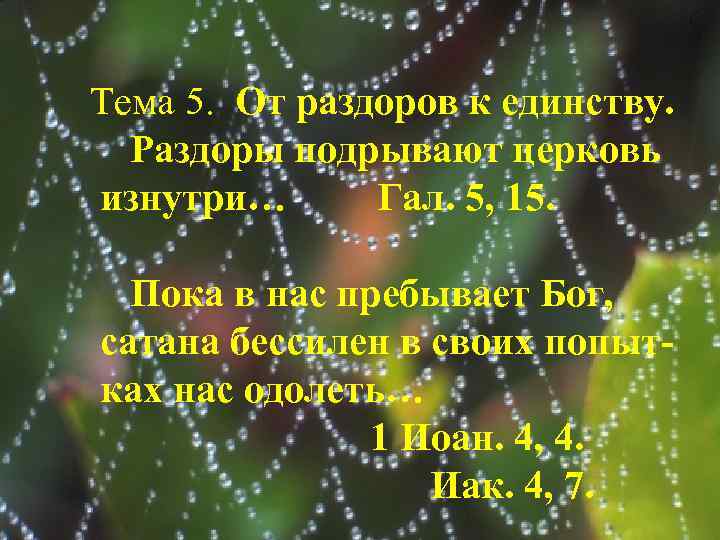 Тема 5. От раздоров к единству. Раздоры подрывают церковь изнутри… Гал. 5, 15. Пока