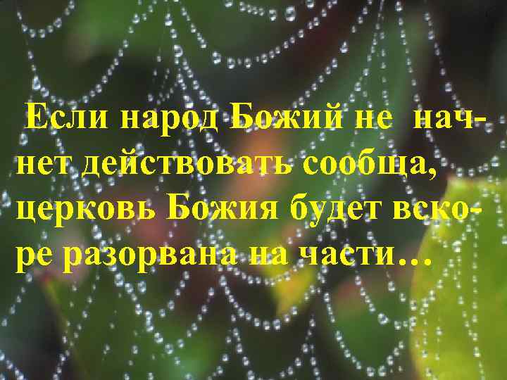 Если народ Божий не начнет действовать сообща, церковь Божия будет вскоре разорвана на части…