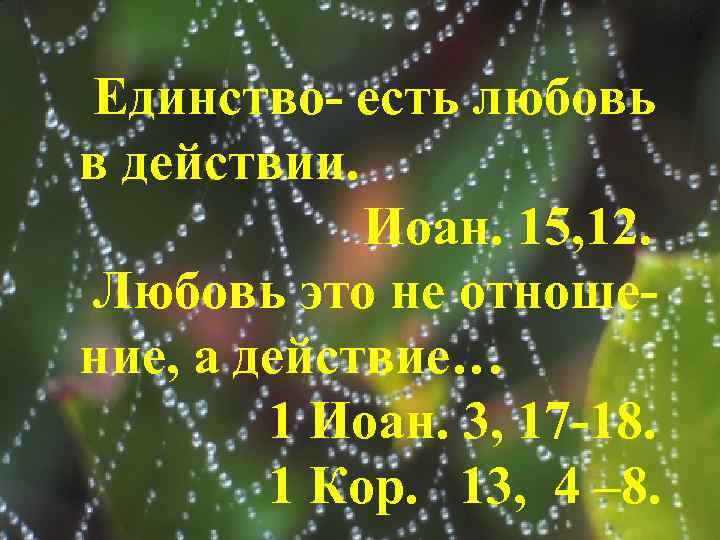 Единство- есть любовь в действии. Иоан. 15, 12. Любовь это не отношение, а действие…