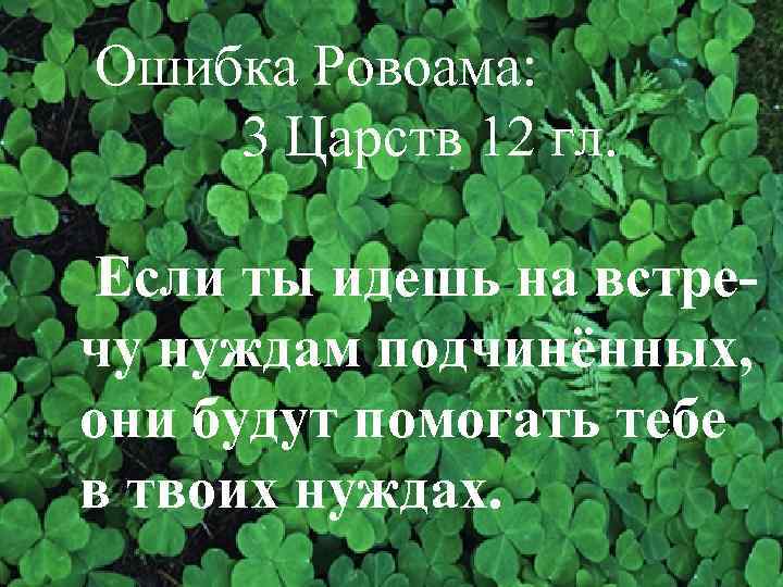 Ошибка Ровоама: 3 Царств 12 гл. Если ты идешь на встречу нуждам подчинённых, они
