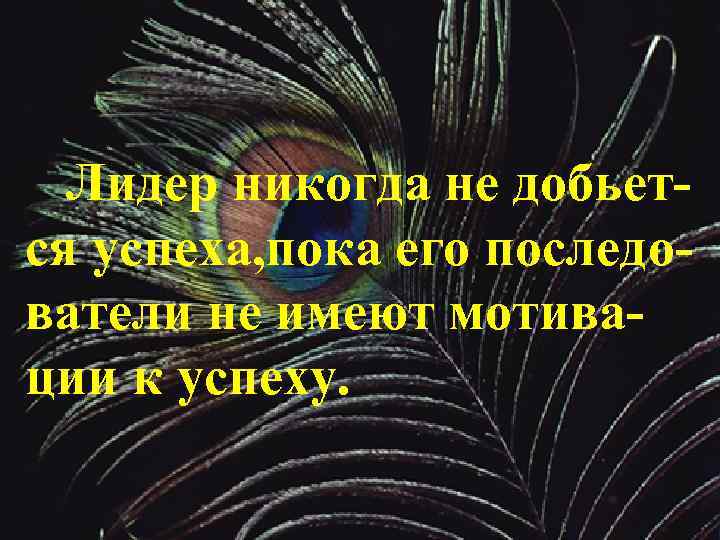 Лидер никогда не добьется успеха, пока его последователи не имеют мотивации к успеху. 