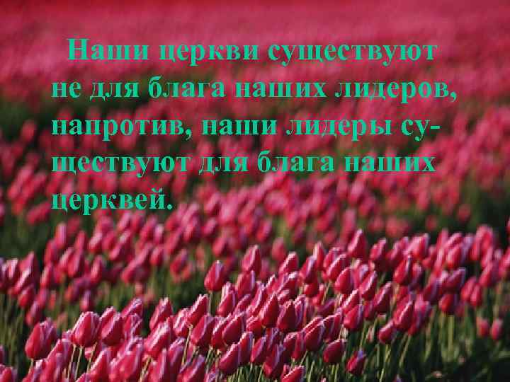 Наши церкви существуют не для блага наших лидеров, напротив, наши лидеры существуют для блага