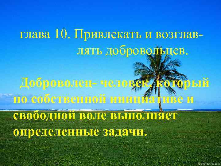глава 10. Привлекать и возглавлять добровольцев. Доброволец- человек, который по собственной инициативе и свободной