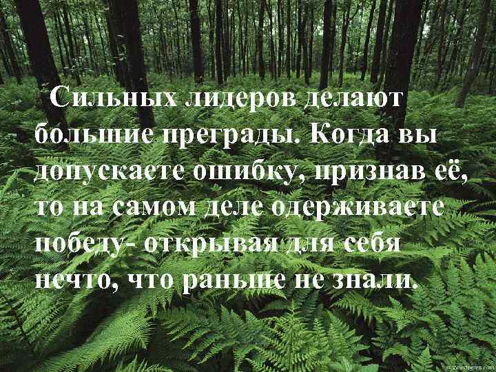 Сильных лидеров делают большие преграды. Когда вы допускаете ошибку, признав её, то на самом