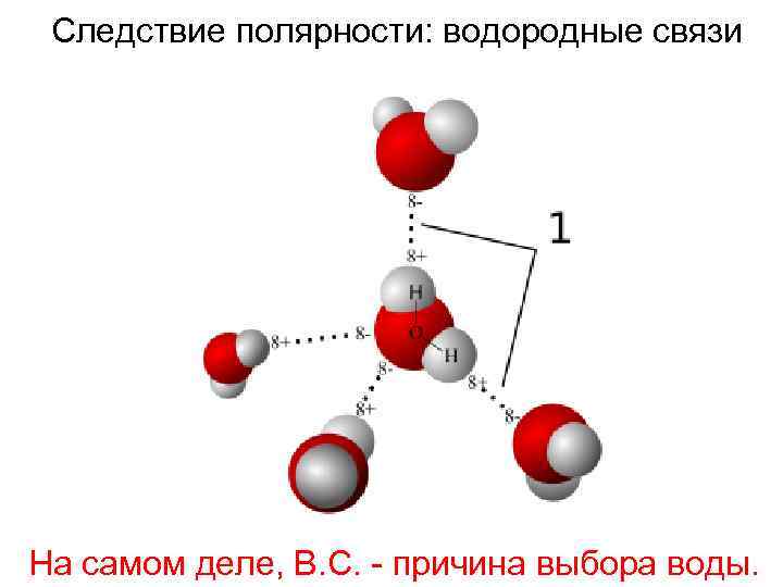 Следствие полярности: водородные связи На самом деле, В. С. - причина выбора воды. 