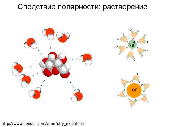 Следствие полярности: растворение http: //www. lionden. com/chemistry_models. htm 
