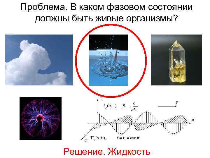 Проблема. В каком фазовом состоянии должны быть живые организмы? Решение. Жидкость 