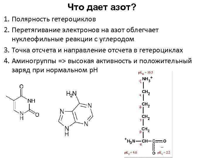 Что дает азот? 1. Полярность гетероциклов 2. Перетягивание электронов на азот облегчает нуклеофильные реакции