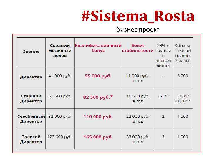 #Sistema_Rosta бизнес проект 