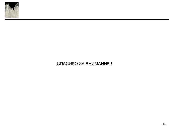 СПАСИБО ЗА ВНИМАНИЕ ! 24 