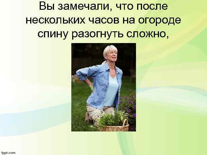 Вы замечали, что после нескольких часов на огороде спину разогнуть сложно, 