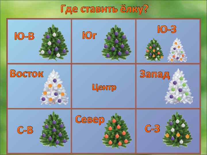 Где ставить ёлку? Ю-В Юг Восток Ю-З Запад Центр С-В Север С-З 