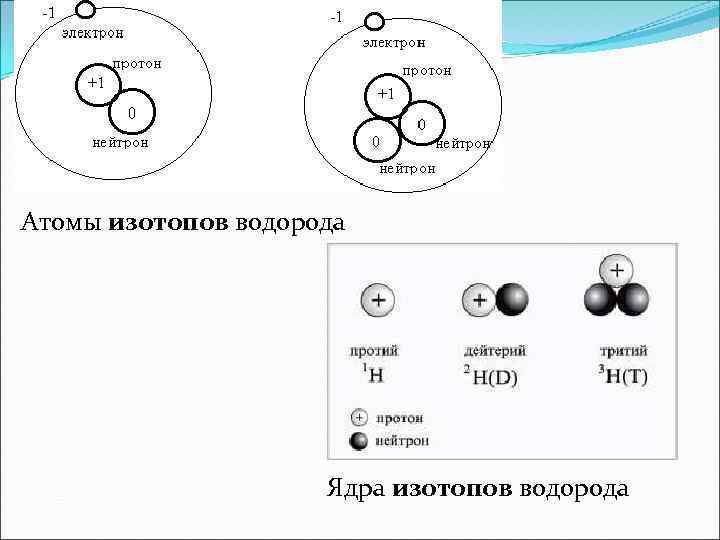 Атомы изотопов водорода Ядра изотопов водорода 