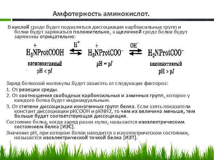 Амфотерность аминокислот. В кислой среде будет подавляться диссоциация карбоксильных групп и белки будут заряжаться